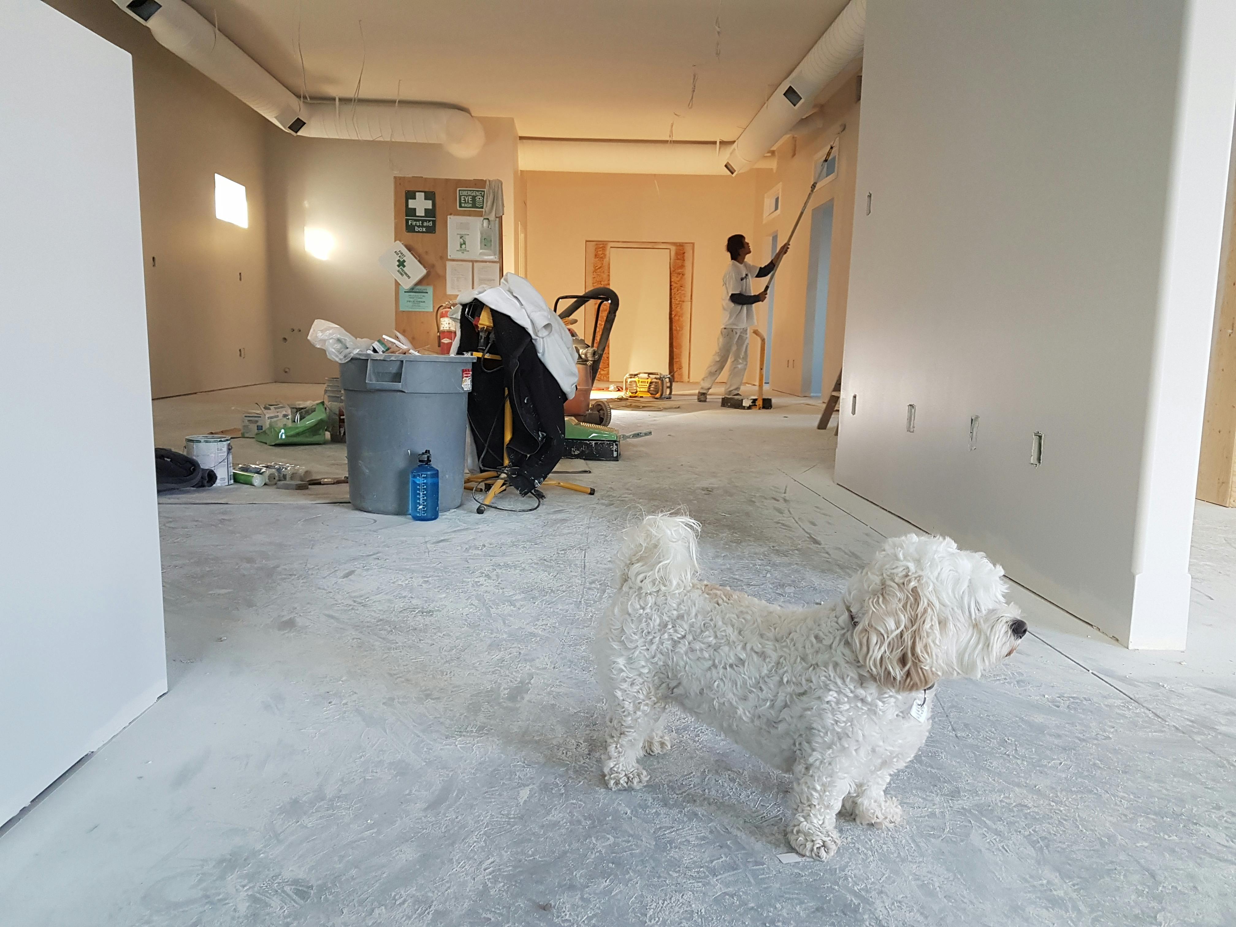 The Ultimate Guide to Budget-Friendly Home Renovations